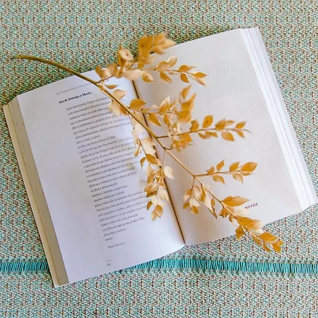 Otel Santo Antonio De Fátima